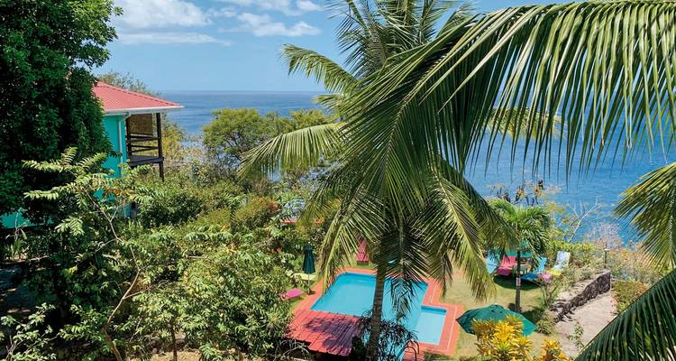 Uitzicht op de oceaan vanuit een tropische omgeving met een zwembad.