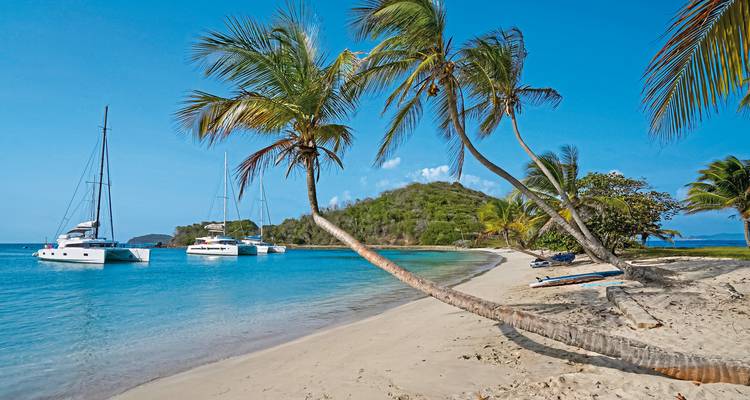 Pristine beach with palm trees and sailboats.