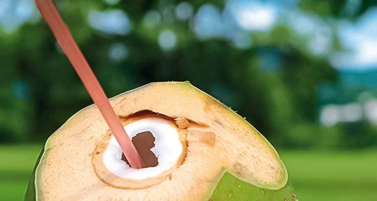 Découvrir Trinidad - MEIERS WELTREISEN 6