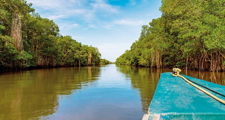 Riviergezicht met een boot en dichte groene mangroves.