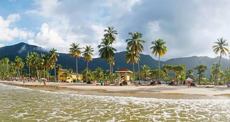Tropisch strandtafereel met palmbomen en mensen die ontspannen langs de kustlijn.