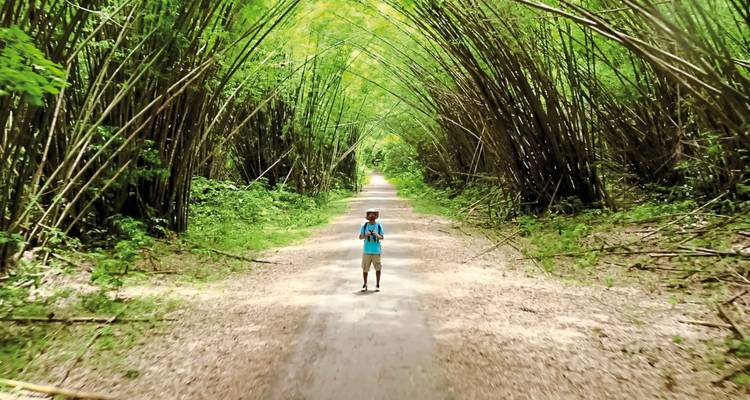 Kind dat op een pad staat, omringd door dicht bamboebos.