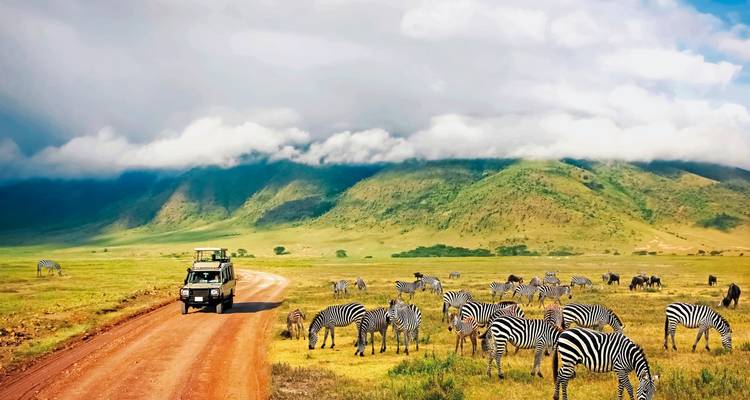 La Tanzanie pour tous les sens - MEIERS WELTREISEN 7