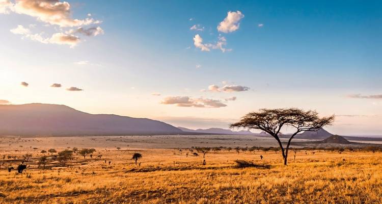 La Tanzanie pour tous les sens - MEIERS WELTREISEN 9