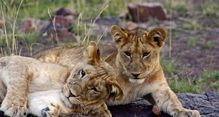 La Tanzanie pour tous les sens - MEIERS WELTREISEN 10