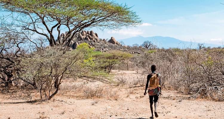 Person walking through a dry landscape with sparse vegetation.