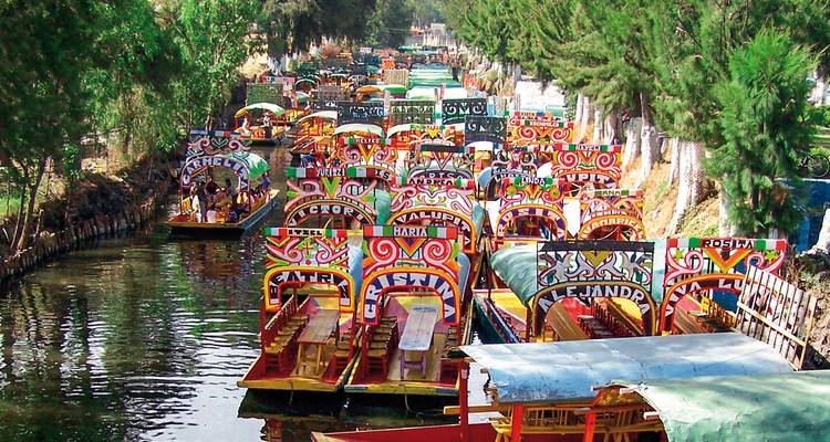 Des bateaux colorés alignés sur un canal entouré d'arbres.