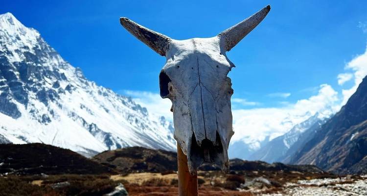 Caminata al Campamento Base Norte del Kanchenjunga - 18 días - Glorious Himalaya Trekking Pvt. Ltd. 2