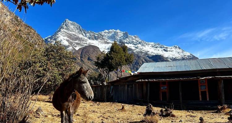 Caminata al Campamento Base Norte del Kanchenjunga - 18 días - Glorious Himalaya Trekking Pvt. Ltd. 6