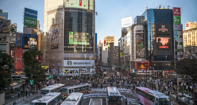 Aperçu de Tokyo en 4 jours - One Life Adventures - One Life Adventures 7