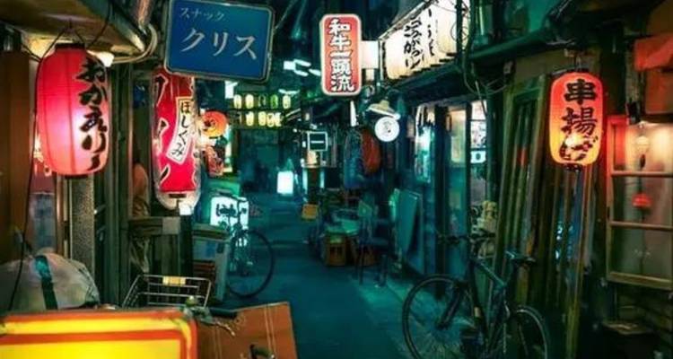Les quatre grands du Japon - 11 jours - Vio Travel 3