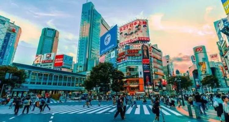 Les quatre grands du Japon - 11 jours - Vio Travel 6