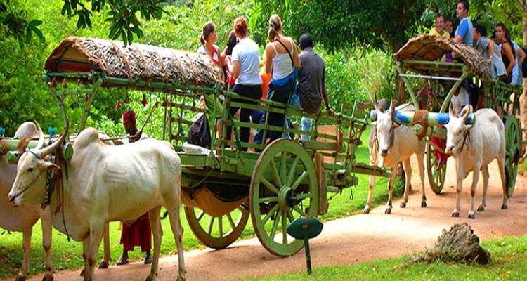 Discover Sri Lanka Beauty - Luxury 5 Star Stay - ASY Tours Sri Lanka 3