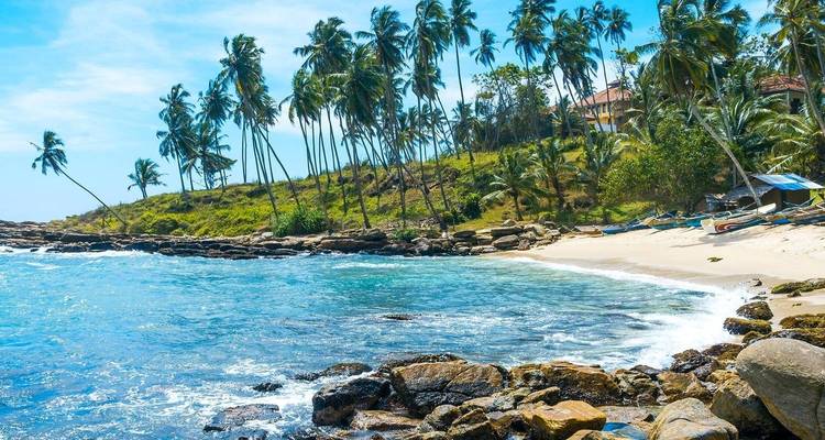 Discover Sri Lanka Beauty - Luxury 5 Star Stay - ASY Tours Sri Lanka 7