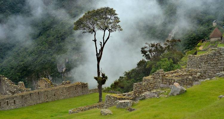 Découvrez INCA Adventures - (Lima et Cusco) avec vols intérieurs - Jill Travel 6