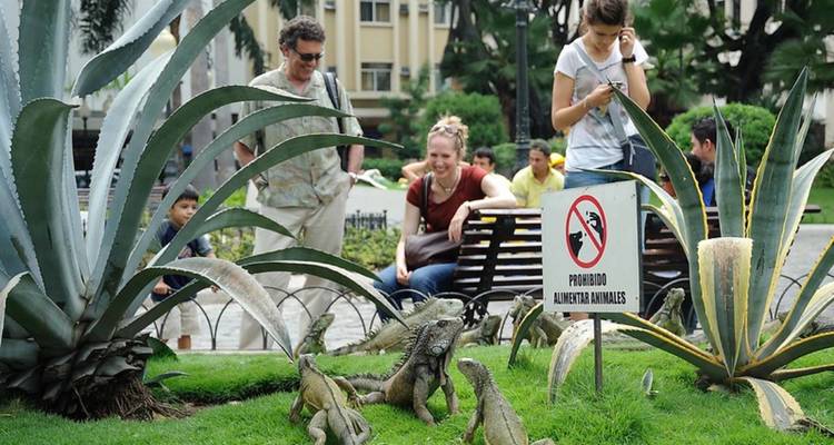 Circuito a pie por Guayaquil - Lead Adventures  3
