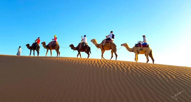 Touristen, die auf Kamelen über Sanddünen reiten unter einem klaren blauen Himmel, mit Wasserzeichen in der Ecke.
