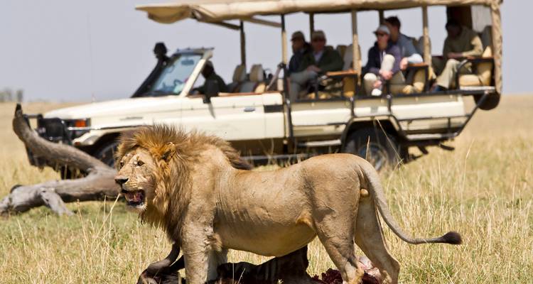 6 Días | Viaje de Lujo por el Poderoso Parque Nacional del Serengeti, el Cráter del Ngorongoro y más - Timeline Travel DMC 1