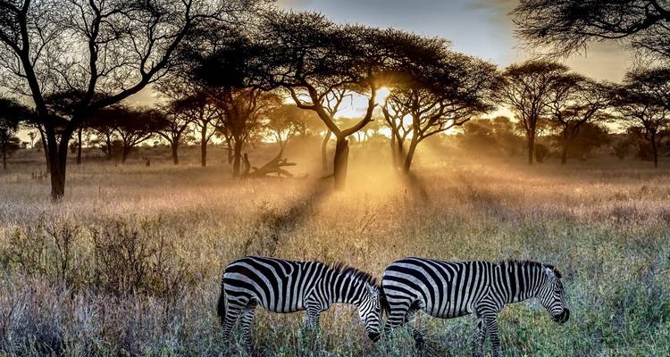 6 Días | Viaje de Lujo por el Poderoso Parque Nacional del Serengeti, el Cráter del Ngorongoro y más - Timeline Travel DMC 2