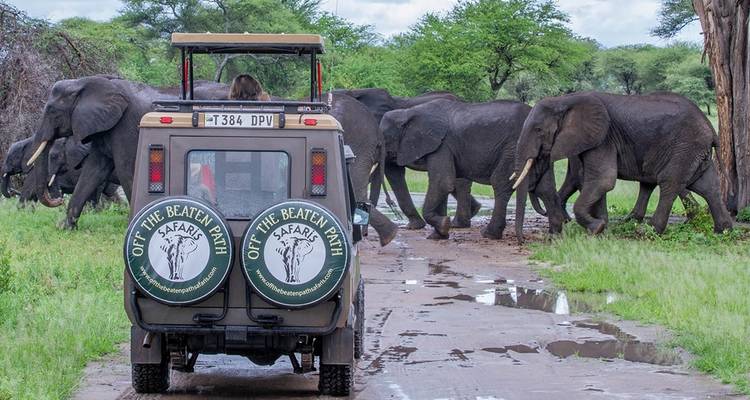6 Días | Viaje de Lujo por el Poderoso Parque Nacional del Serengeti, el Cráter del Ngorongoro y más - Timeline Travel DMC 3