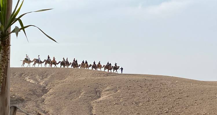 Marrakech, Agafay & Coast - 5 Days - Nomadic Tours 10