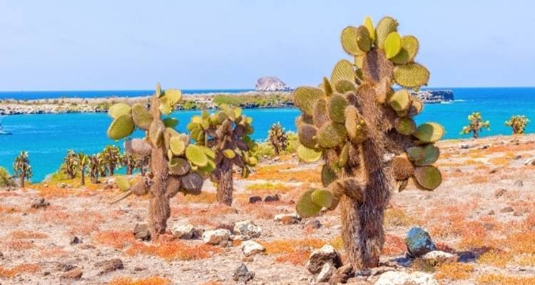 Highlights of the Galapagos - 14 days - On The Go Tours 9