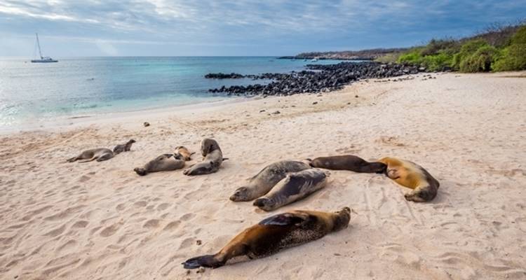 Highlights of the Galapagos - 14 days - On The Go Tours 7