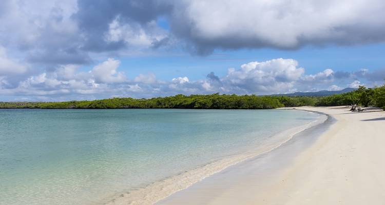 Ecuador & Galapagos Island Hopping - 12 days - On The Go Tours 9