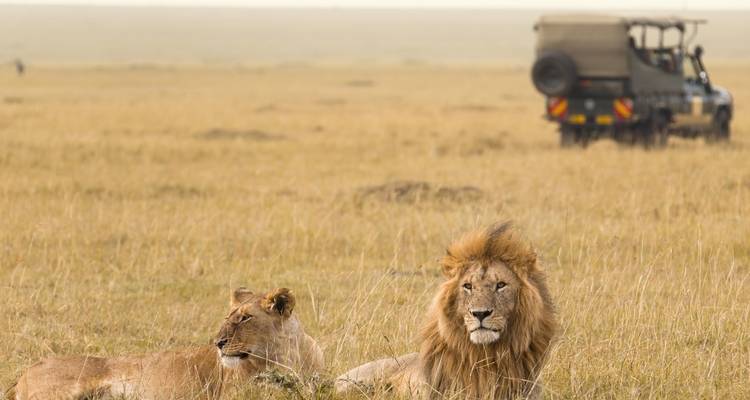 Kenya Wildlife Wonders - 9 days - On The Go Tours 6