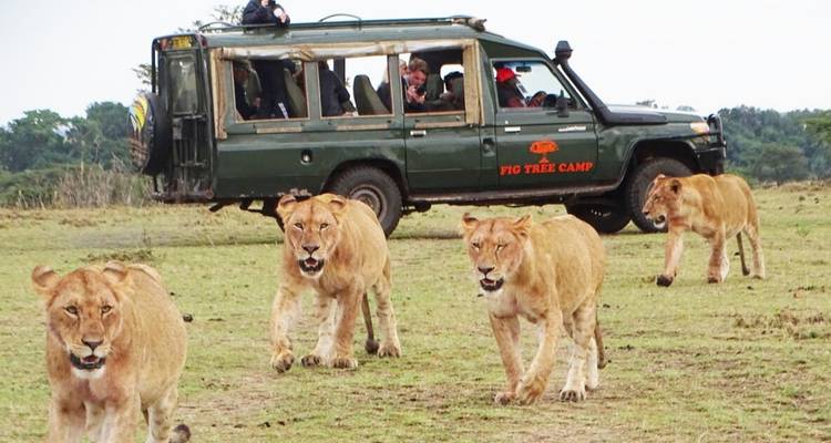 Kenya Wildlife Wonders - 9 days - On The Go Tours 4