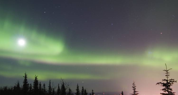 Green aurora borealis dancing across a starry night sky above a dark evergreen forest.