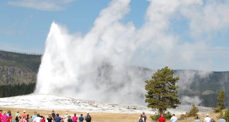 Le geyser Old Faithful entre en éruption, projetant de la vapeur en hauteur tandis que les touristes observent à distance de sécurité.
