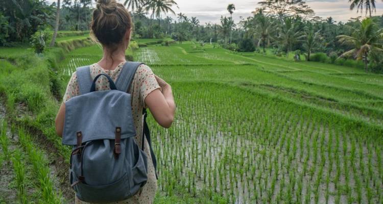 The Best Luxury 8-days Private Driver Bali Road Trip 4* Hotels - My Bali Road Trip 3