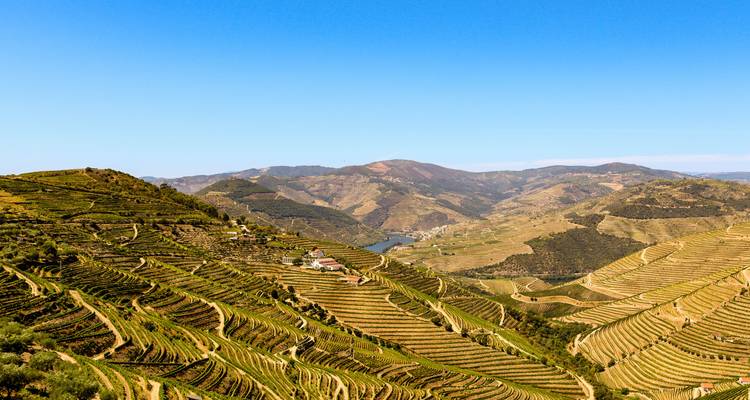 Saveurs du Portugal et de l'Espagne avec les régions viticoles du Douro et de la Rioja (de Lisbonne à Saint-Sébastien) (2025) - Collette 4