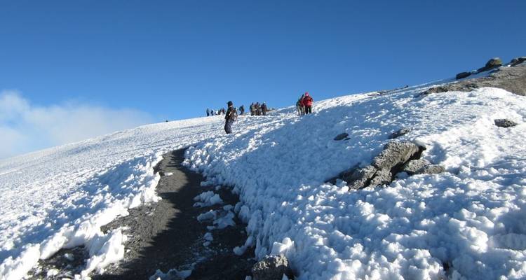 Climb Mt.Kilimanjaro via Marangu Route - Safari Heroes 8