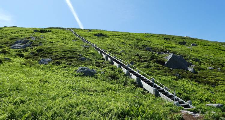 Scenic Wonders of Newfoundland and Labrador - Trafalgar 4