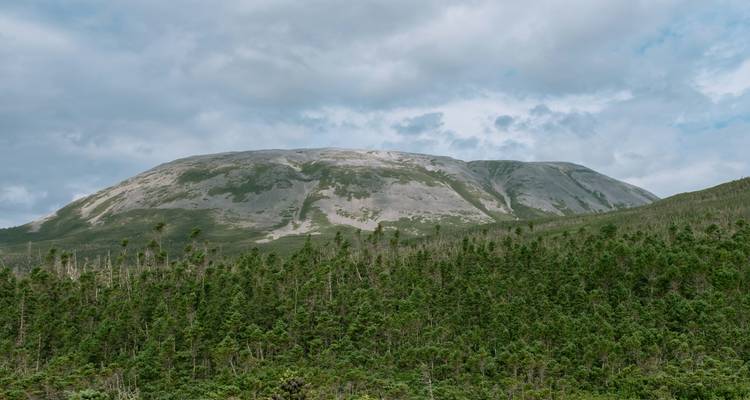 Scenic Wonders of Newfoundland and Labrador - Trafalgar 6