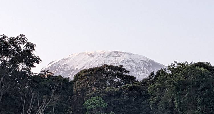 Vive el mejor safari de Tanzania en 2 días - Kilingeadventures 3