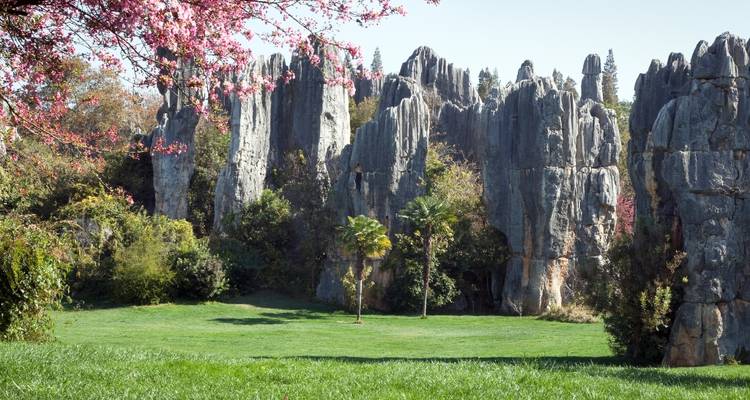 Karst stone forest landscape with unique limestone structures.