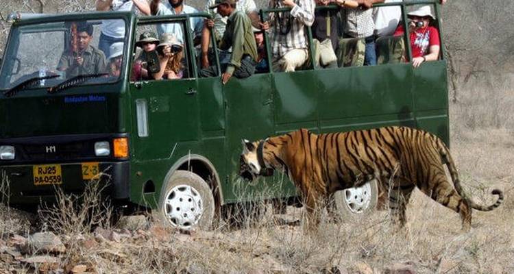 4-Day Golden Triangle & Ranthambore Tiger Safari from Delhi - India Taj Tour 7