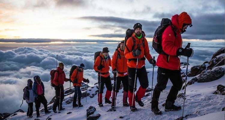 Circuit Experience Trek : Kilimandjaro par la route de Lemosho - Kilingeadventures 2