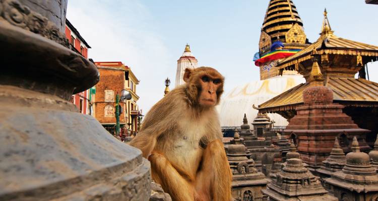 Triangle d'or (Katmandou, Bhaktapur et Patan) - Liberty Holidays 4