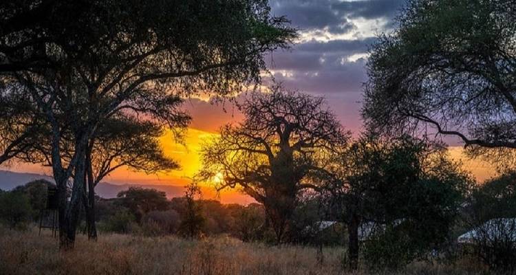Merveilleux 5 jours du parc national du Serengeti au cratère du Ngorongoro - Kilingeadventures 2