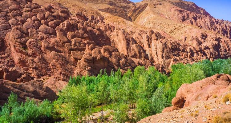 Morocco Discovery from Casablanca - 9 days - On The Go Tours 9