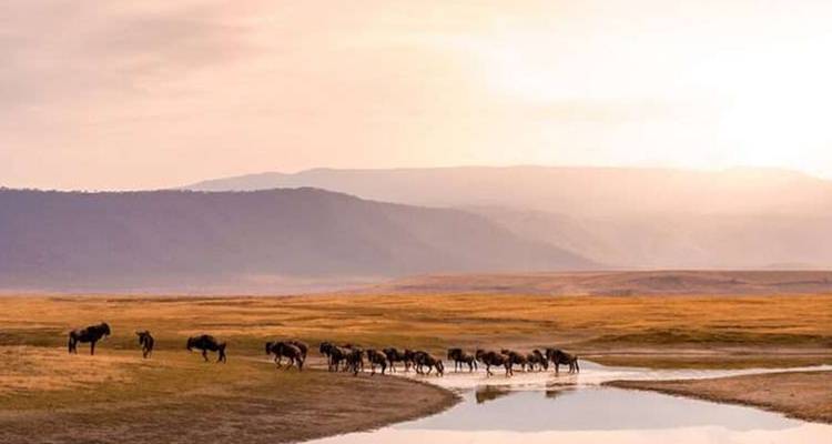 【South America】 Circuit de 21 jours dans 5 pays : Brésil, Argentine, Uruguay, Chili, Pérou. - Delightful Travel 4