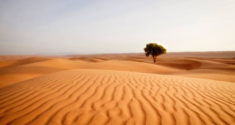 Omán - Entre el desierto y las montañas - Visita guiada privada - Ventus Touristik GmbH 2