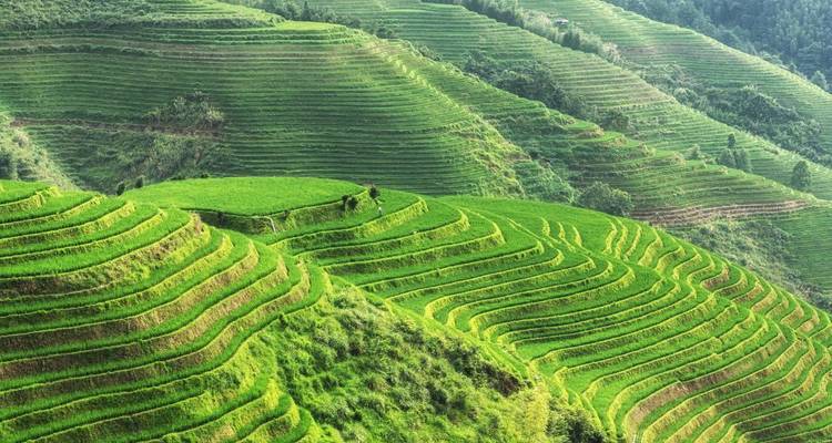 12 Days China - Private Tour (Beijing/Xian/Chengdu/Guilin & Shanghai) - Realistic Asia 8