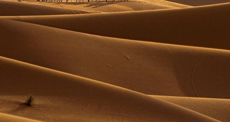 Circuit de 3 jours dans le désert de Fès à Marrakech - Morhara Morocco Tours 10