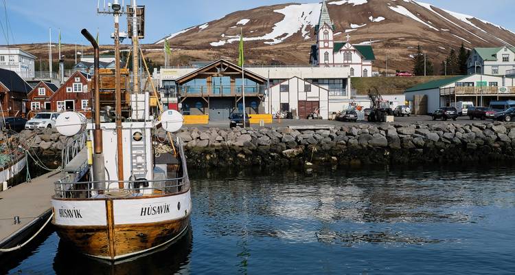 The Music & Nature Of North Iceland - Project Por Amor 9