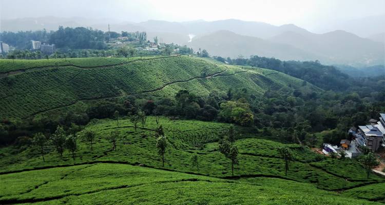 ¡¡Circuito privado de 7 días por Kerala con visitas turísticas!! -  Taj Voyages Tours  3